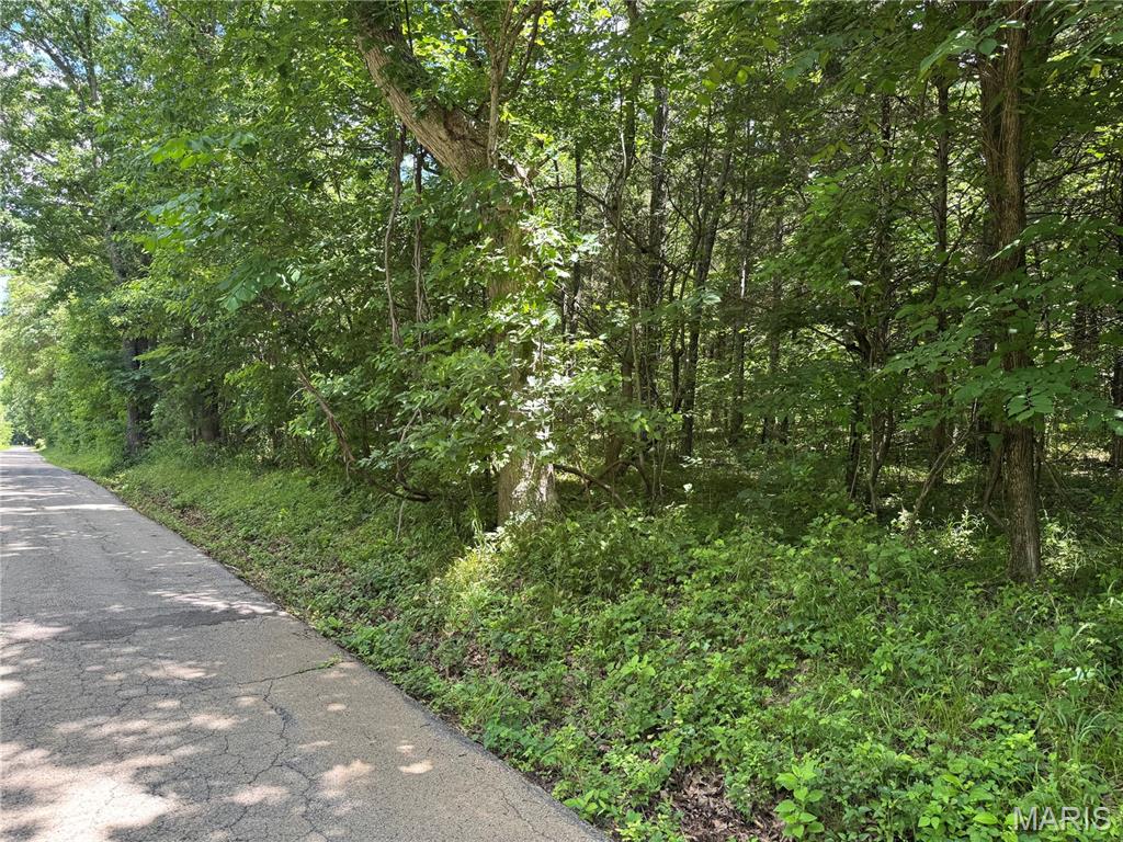 0 Old St Louis Road French Village, MO 63036 - Photo 2 of 30