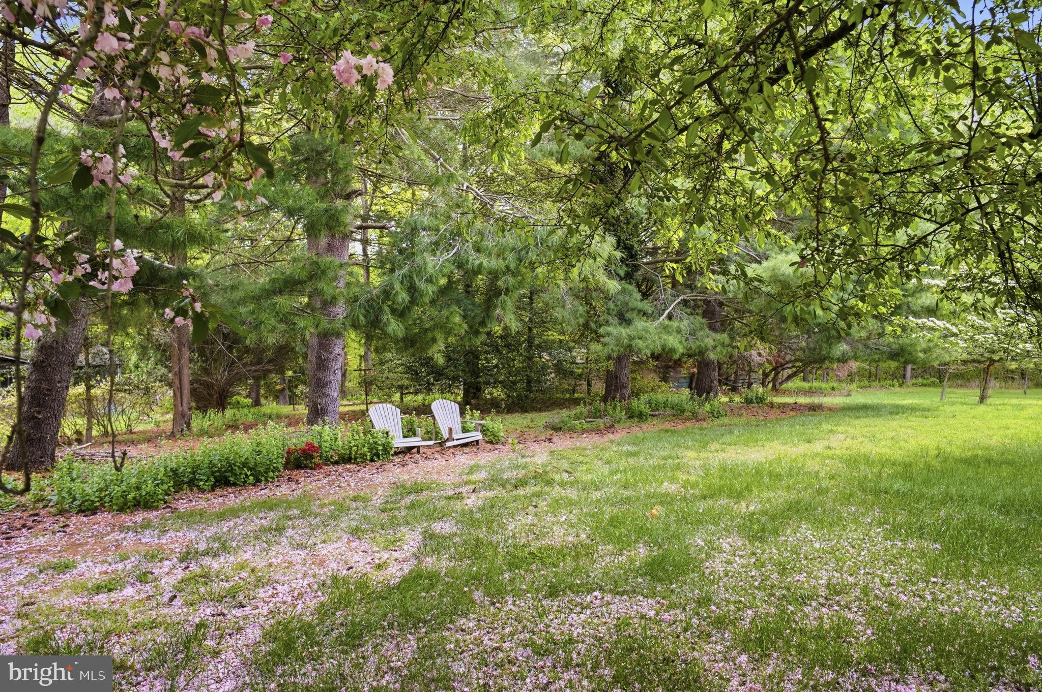 25124 East Kentfield Road Worton, MD 21678 - Photo 28 of 35