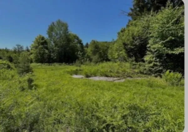 $289,900 | 0 Alder Plains Road, Bradford, NH 03221