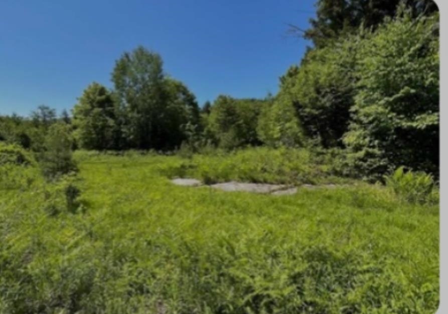 0 Alder Plains Road Bradford, NH 03221 - Photo 1 of 11