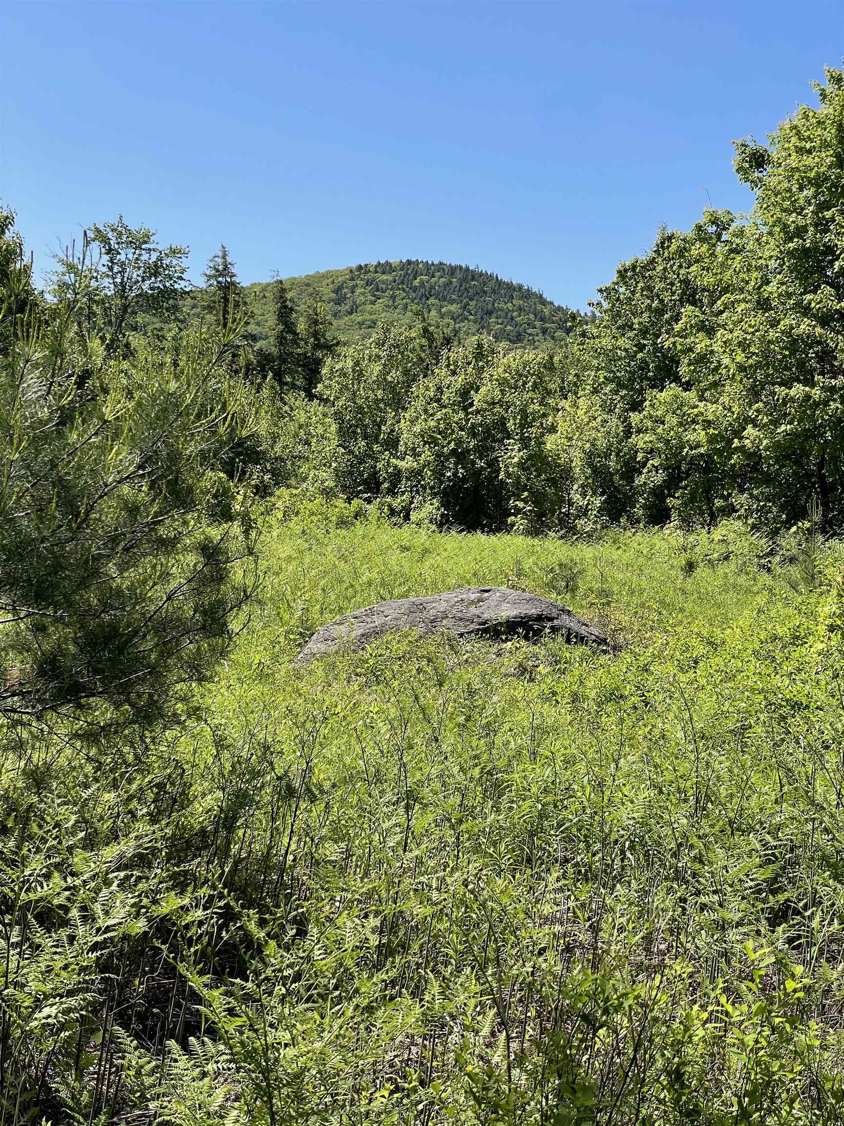0 Alder Plains Road Bradford, NH 03221 - Photo 4 of 11