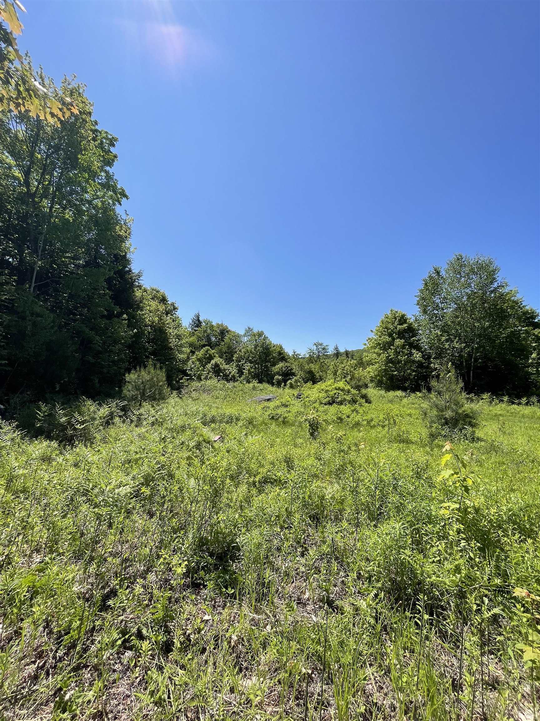 0 Alder Plains Road Bradford, NH 03221 - Photo 5 of 11