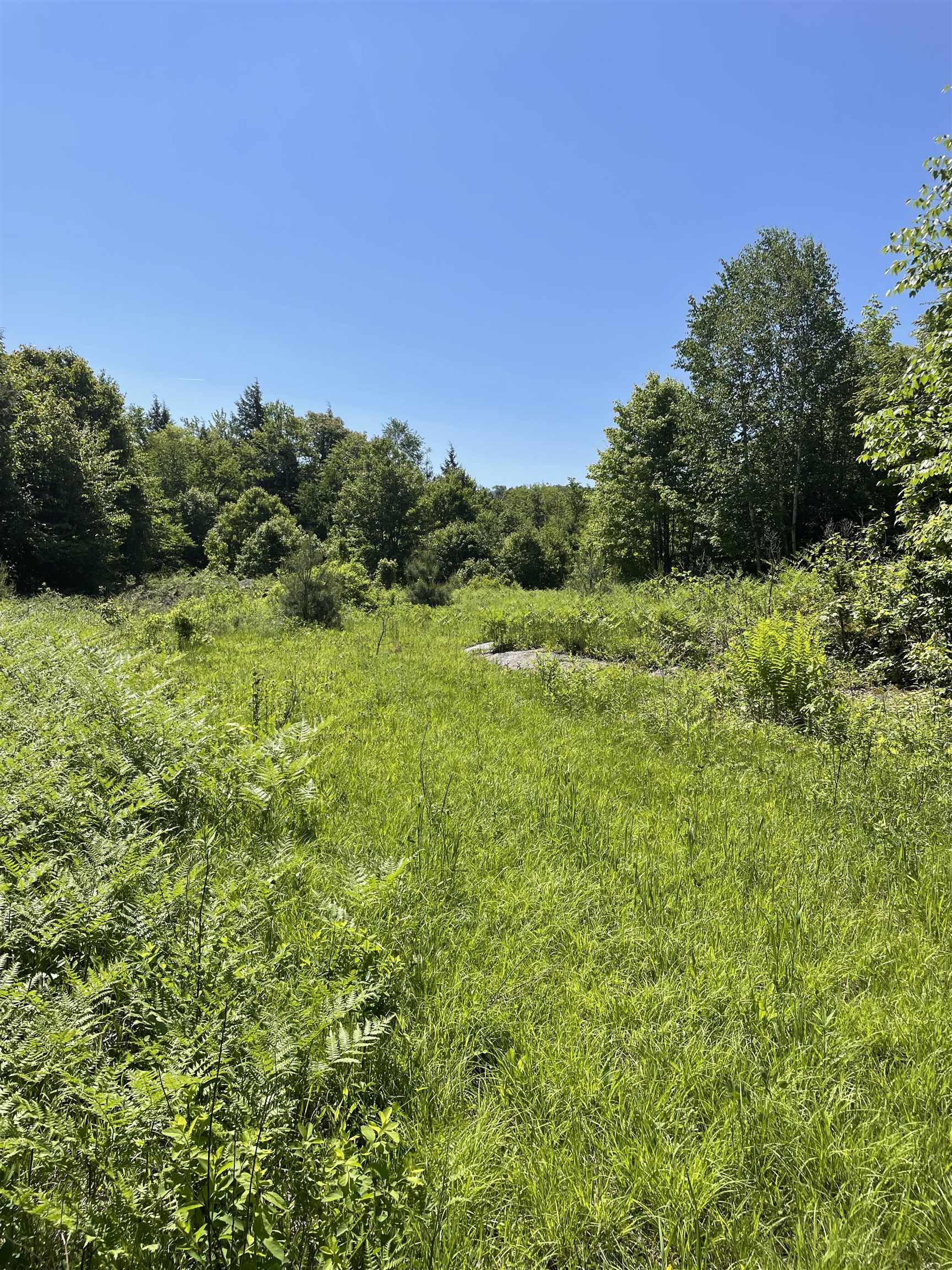 0 Alder Plains Road Bradford, NH 03221 - Photo 6 of 11