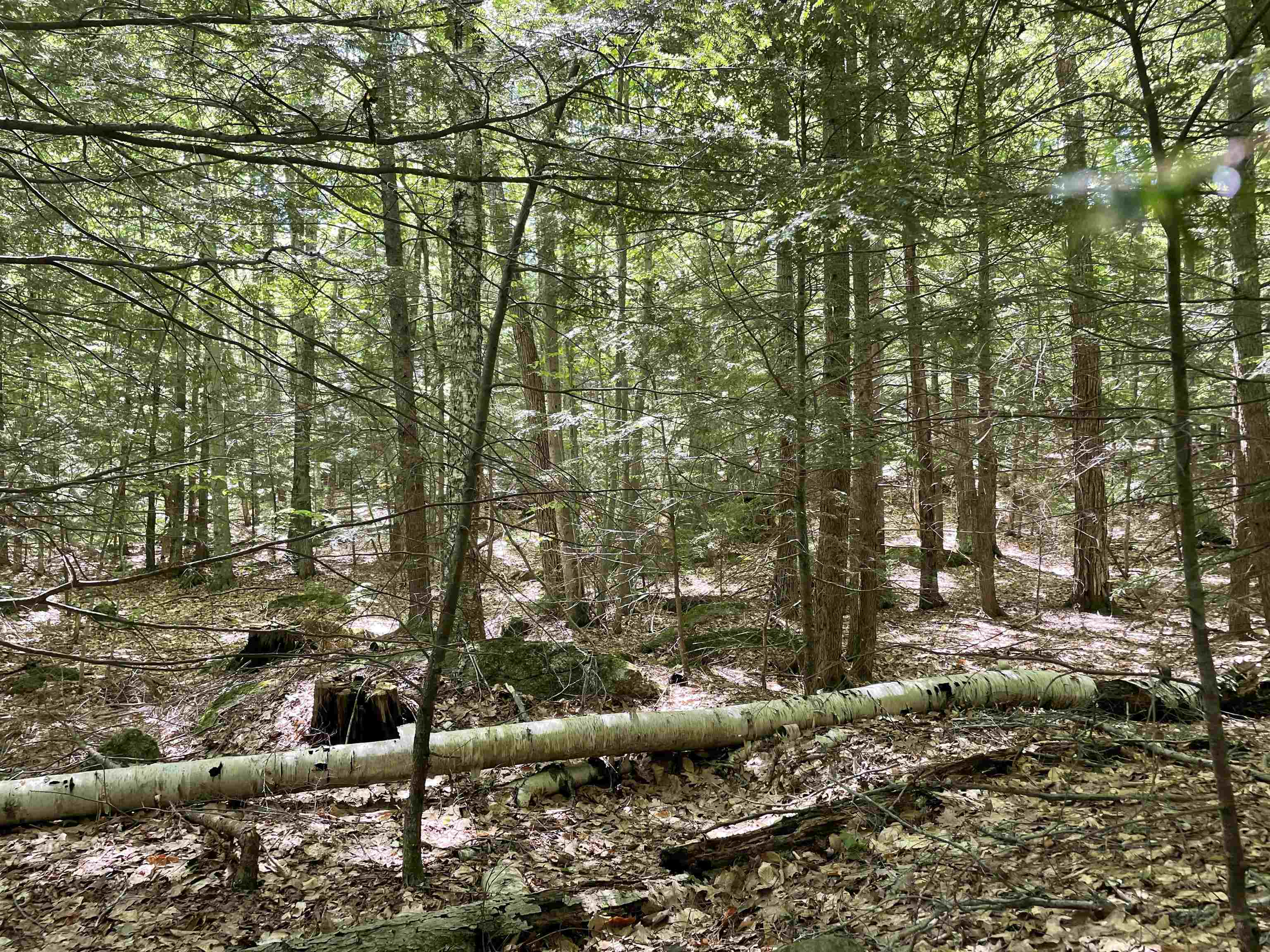 0 Alder Plains Road Bradford, NH 03221 - Photo 10 of 11