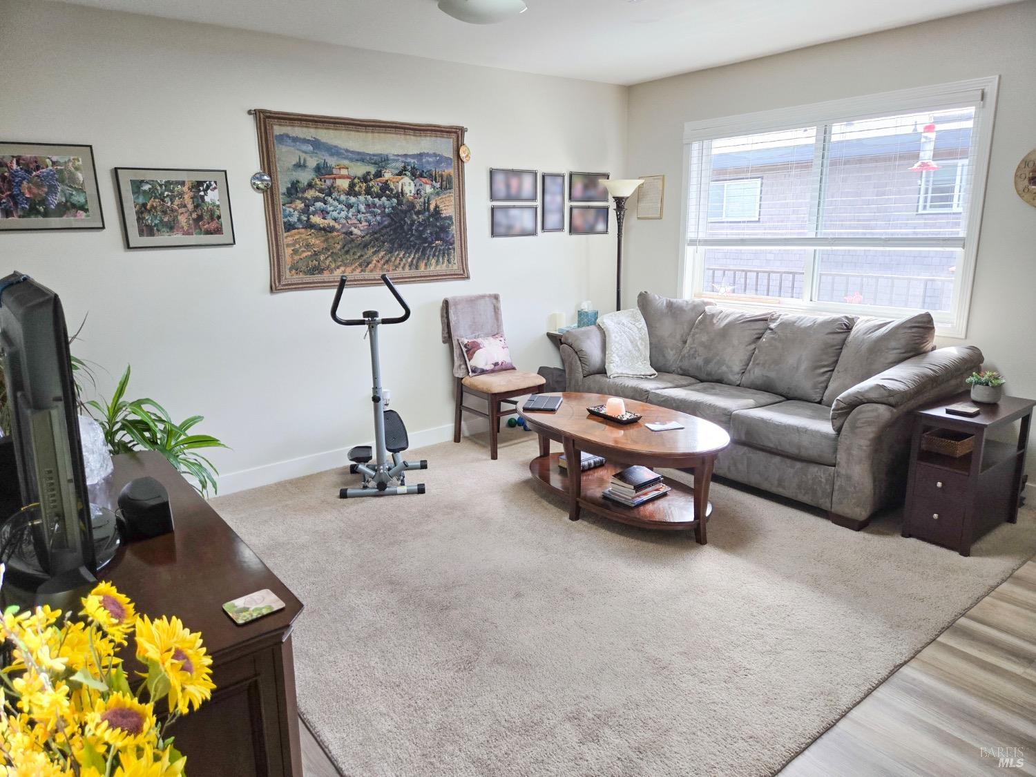 8020 Beverly Drive Rohnert Park, CA 94928 - Photo 21 of 35 a living room with furniture a couch and potted plant