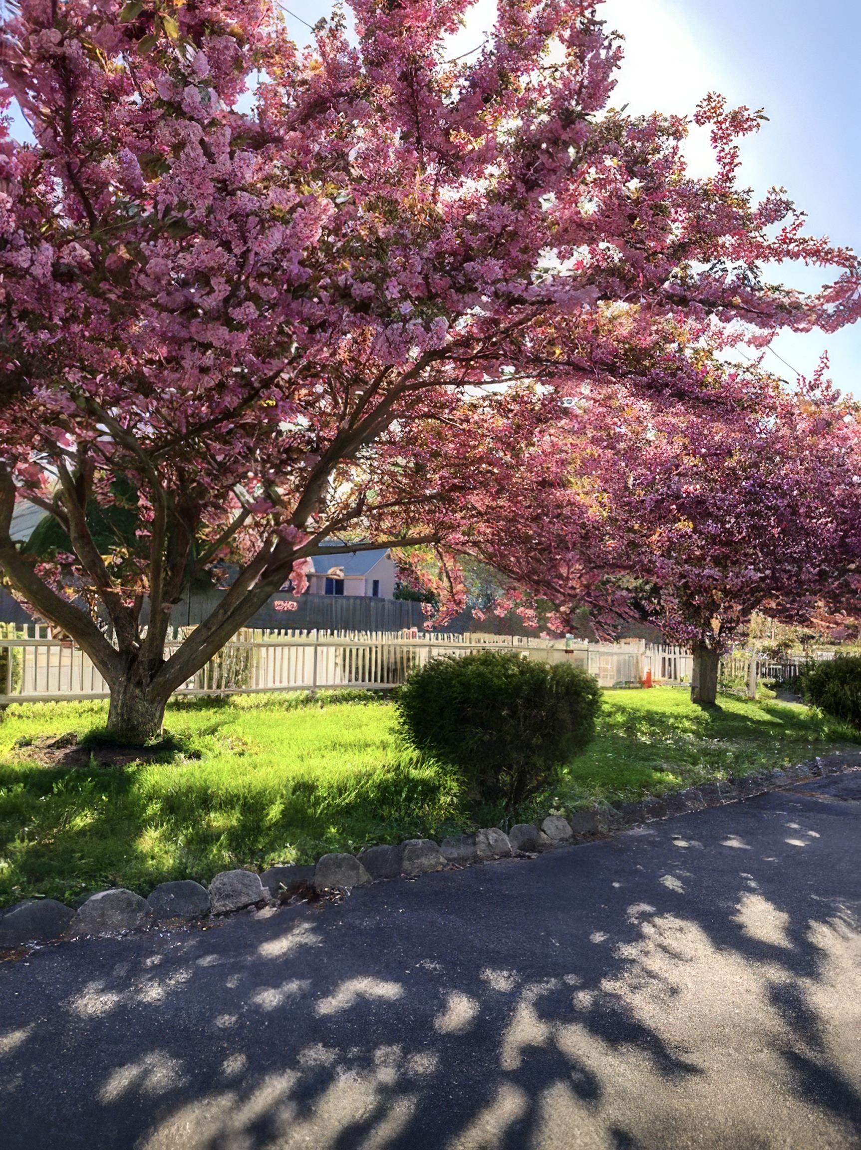 643 Town Bank Road North Cape May, NJ 08204 - Photo 38 of 50