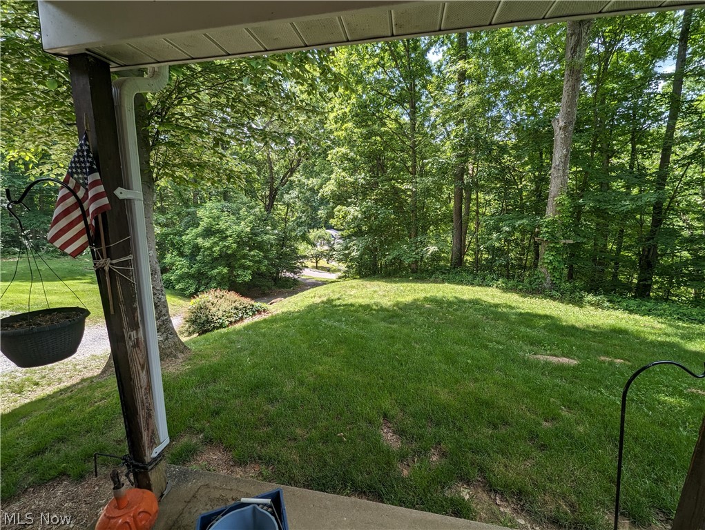 8915 Pioneer Road Byesville, OH 43723 - Photo 2 of 22 View of front yard