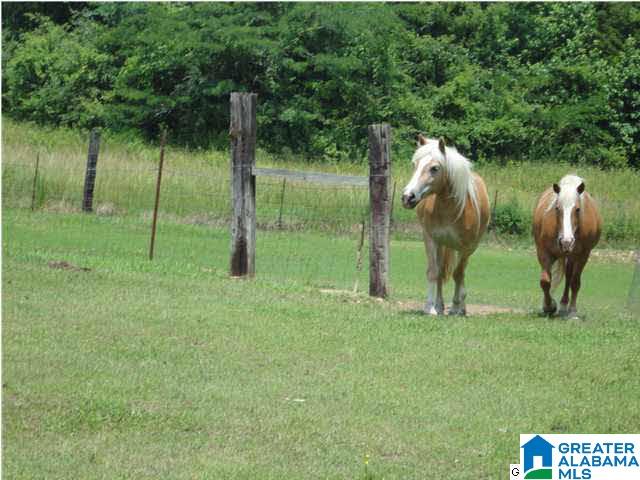 180 Hoyt Hill Road Ashville, AL 35953 - Photo 23 of 32
