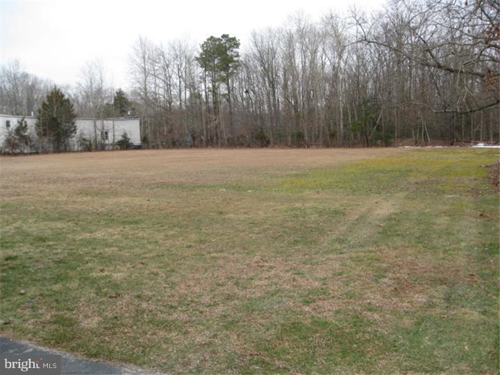 605 Fries Mill Road Williamstown, NJ 08094 - Photo 24 of 25 Back Yard