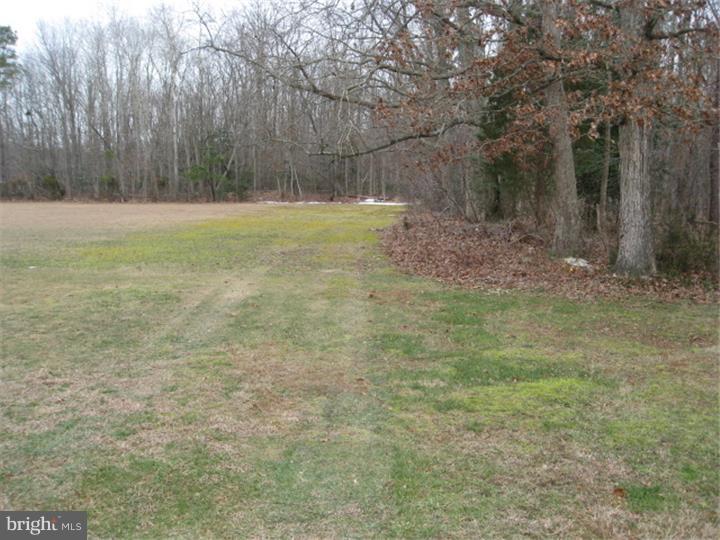 605 Fries Mill Road Williamstown, NJ 08094 - Photo 25 of 25 Back Yard