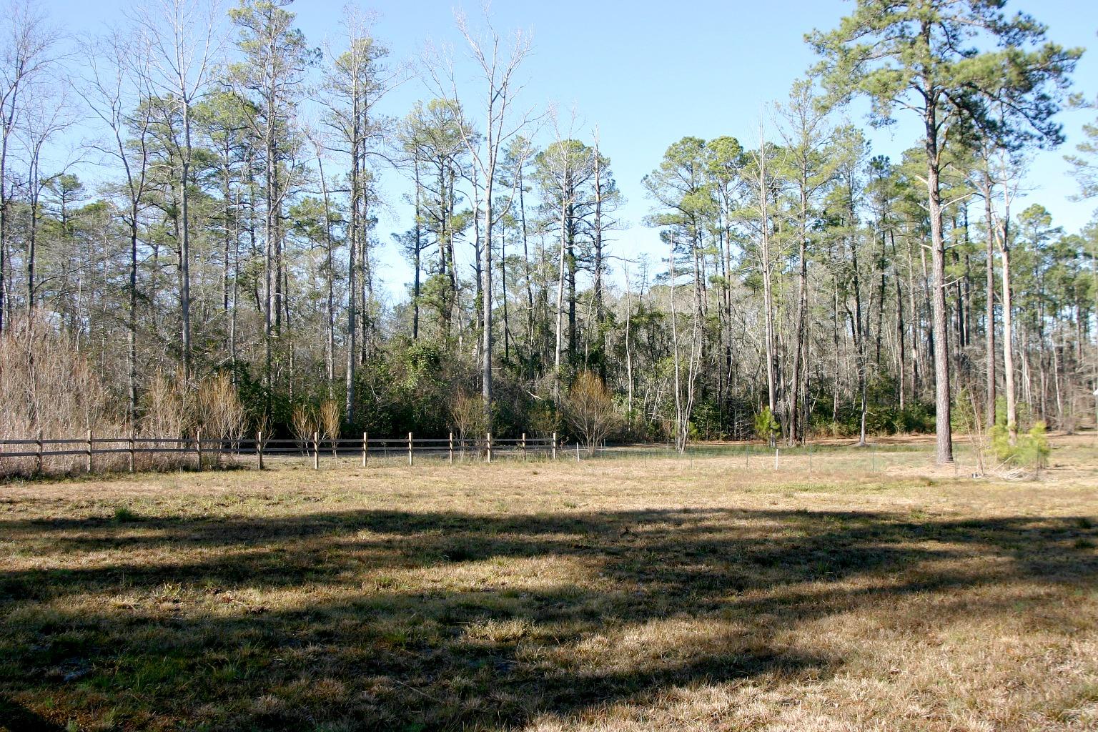688 Juniper Lake Road West End, NC 27376 - Photo 18 of 21 Pasture