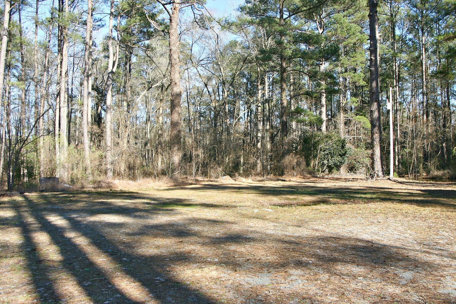 688 Juniper Lake Road West End, NC 27376 - Photo 20 of 21 Side yard