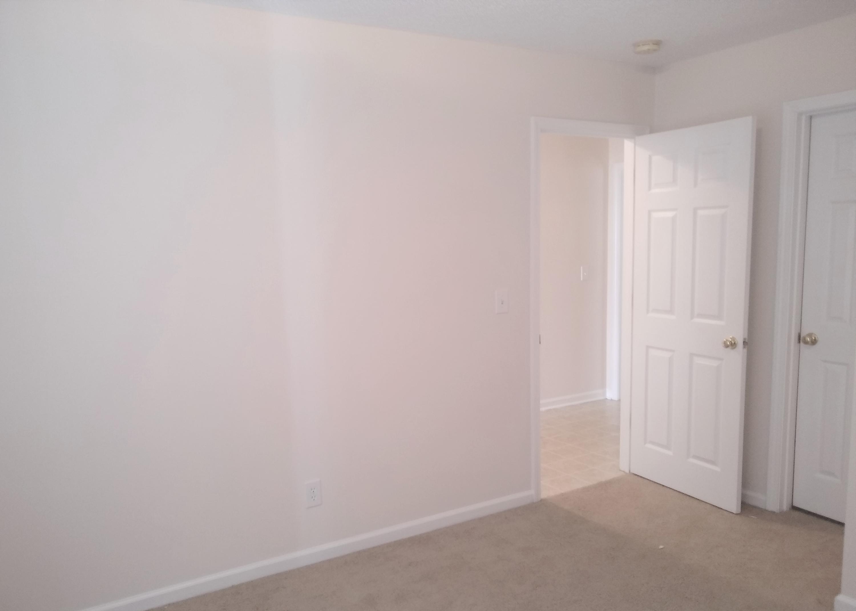 9276 Ayscough Road Summerville, SC 29485 - Photo 22 of 40 Ayscough 2019 (30)