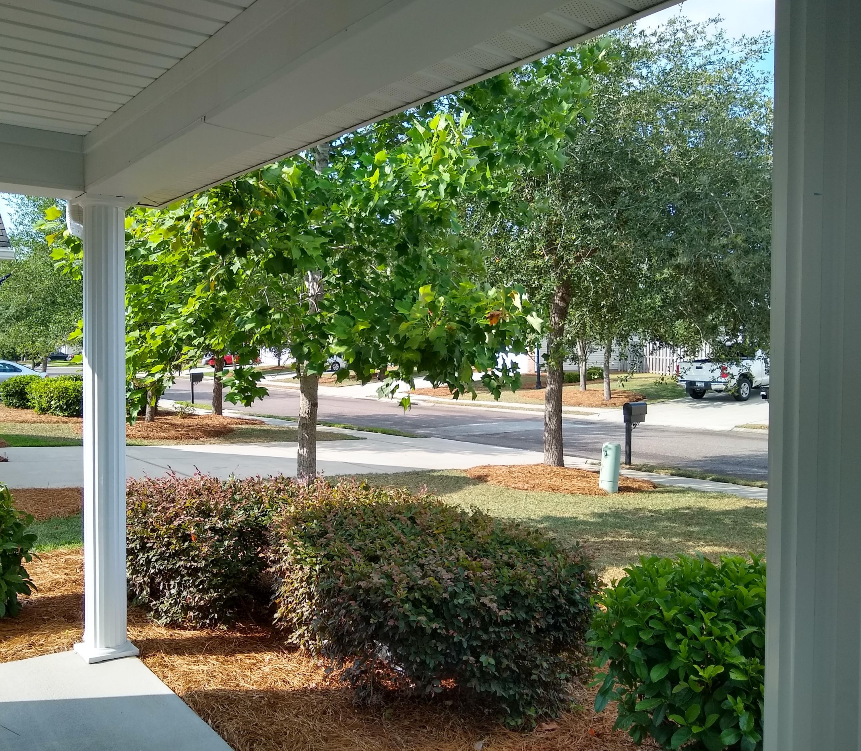 9276 Ayscough Road Summerville, SC 29485 - Photo 8 of 40 Ayscough 2019 (13)