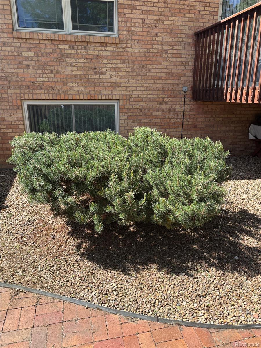 6505 West 34th Avenue Wheat Ridge, CO 80033 - Photo 24 of 28 a view of a backyard