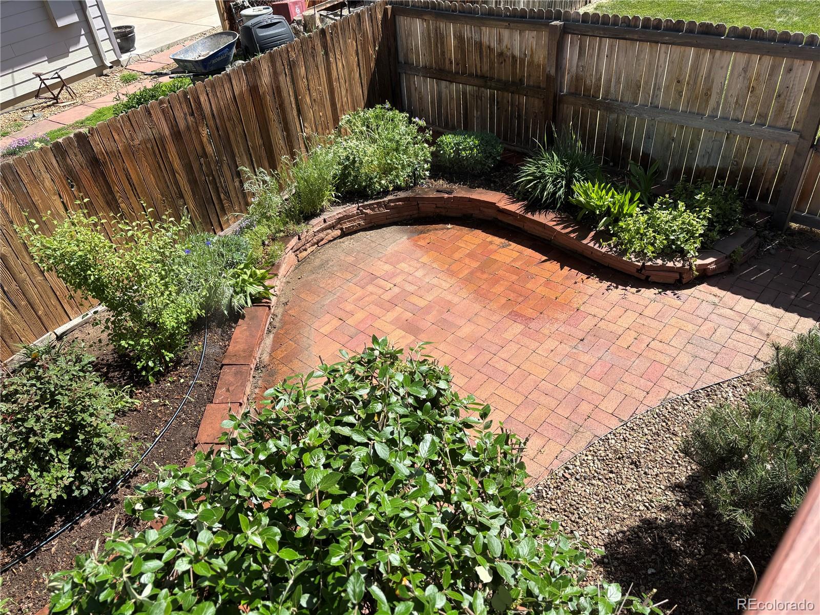 6505 West 34th Avenue Wheat Ridge, CO 80033 - Photo 25 of 28 a view of a backyard with plants