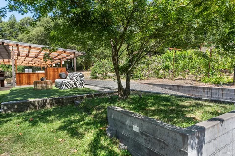 a view of a yard with plants and trees