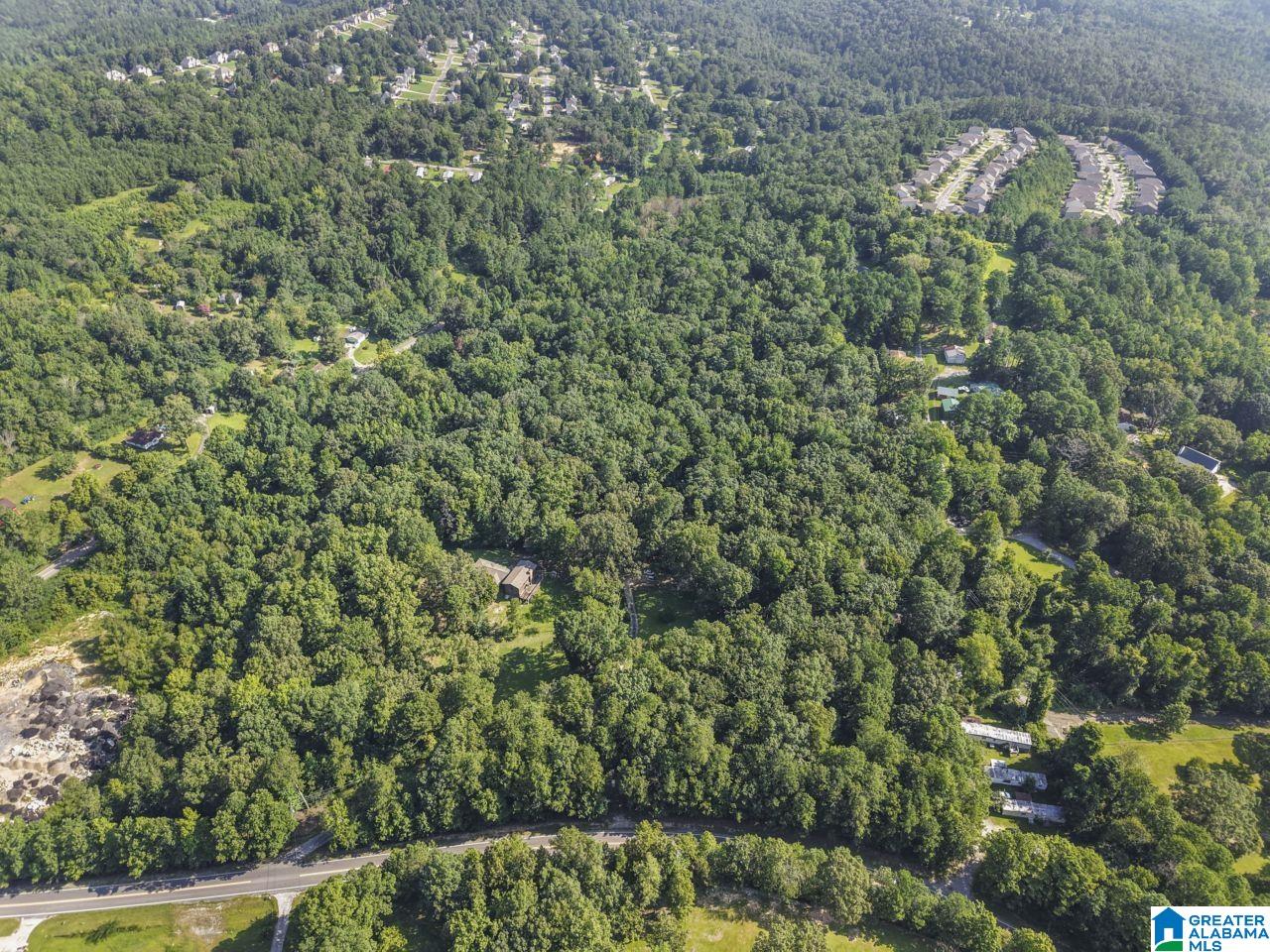 234 Loop Road Odenville, AL 35120 - Photo 24 of 58
