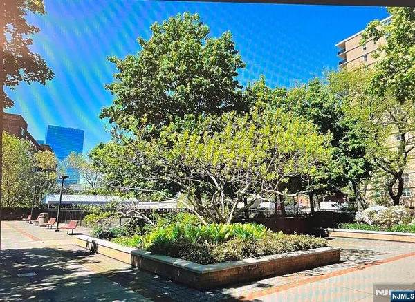 a view of a garden with plants
