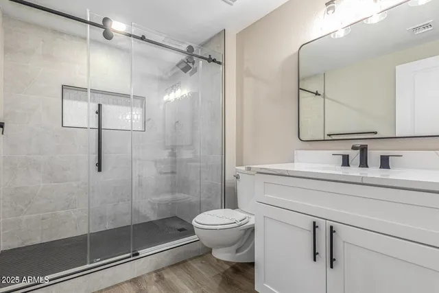 a bathroom with a shower sink vanity mirror and toilet