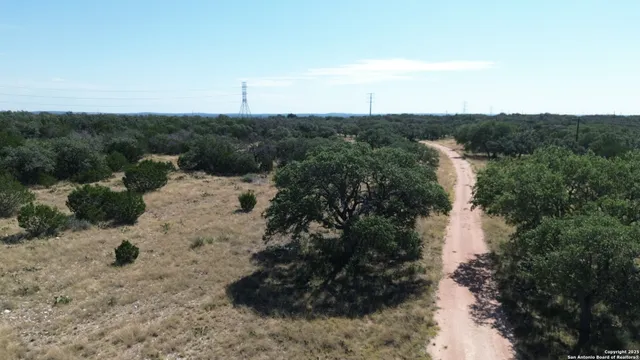 a view of a dry yard with lots of green space
