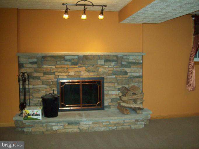 1910 Springhill Lane Hampstead, MD 21074 - Photo 9 of 20 stone fireplace in L.L.family rm.