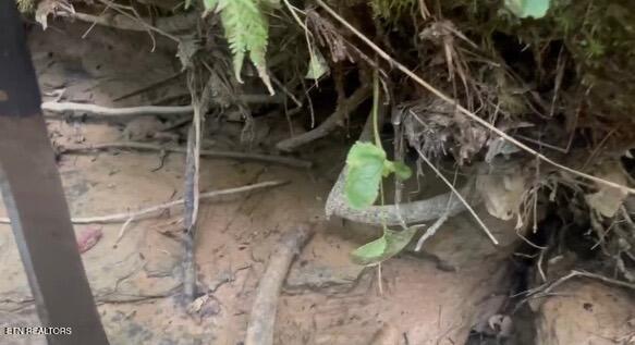 Ridge Road Lancing, TN 37770 - Photo 15 of 17 Ridge Rd