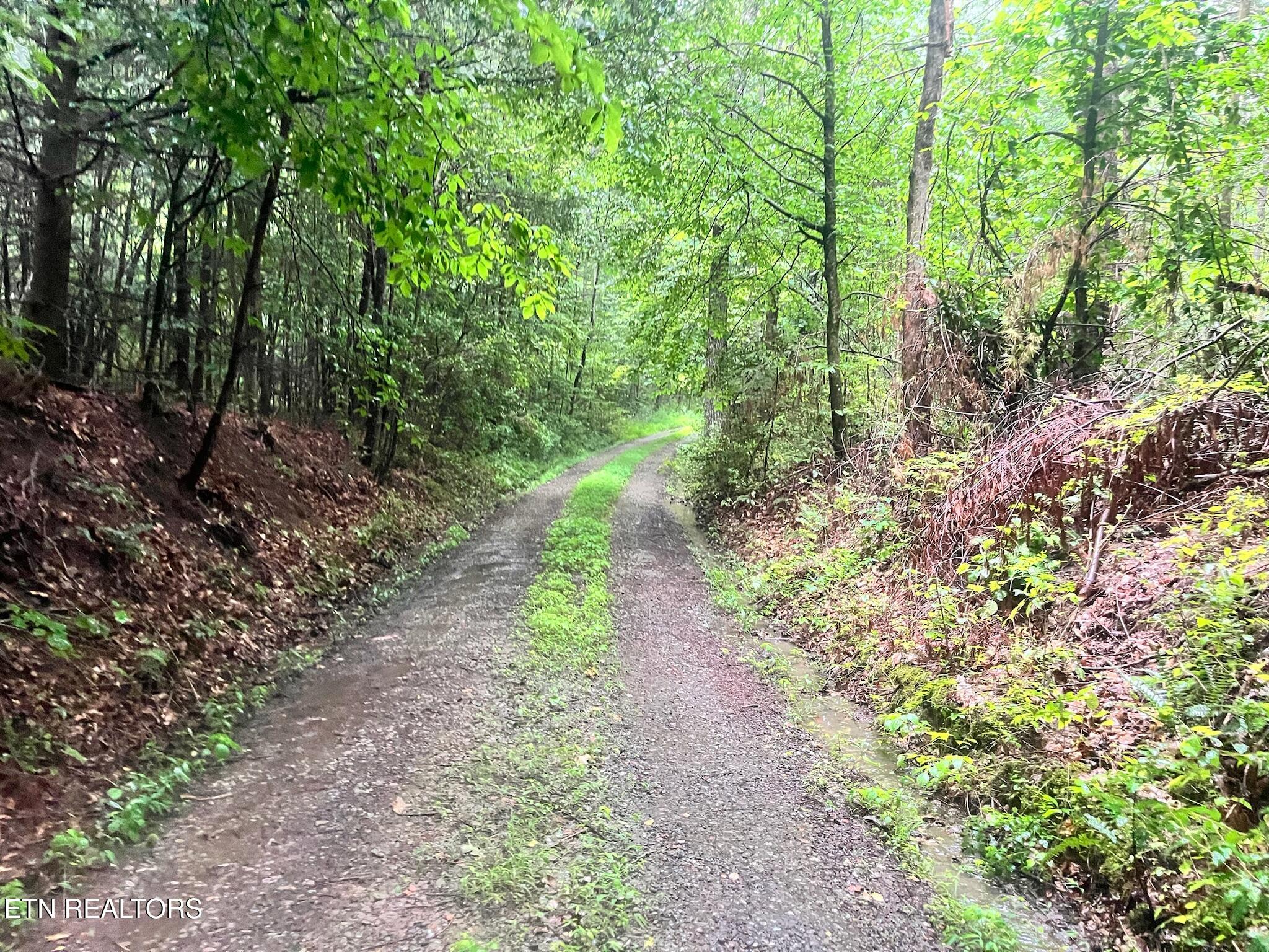 Ridge Road Lancing, TN 37770 - Photo 2 of 17 Ridge Rd