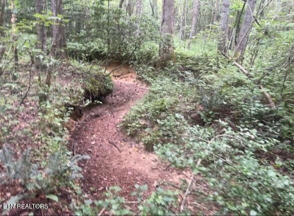 Ridge Road Lancing, TN 37770 - Photo 9 of 17 Ridge Rd