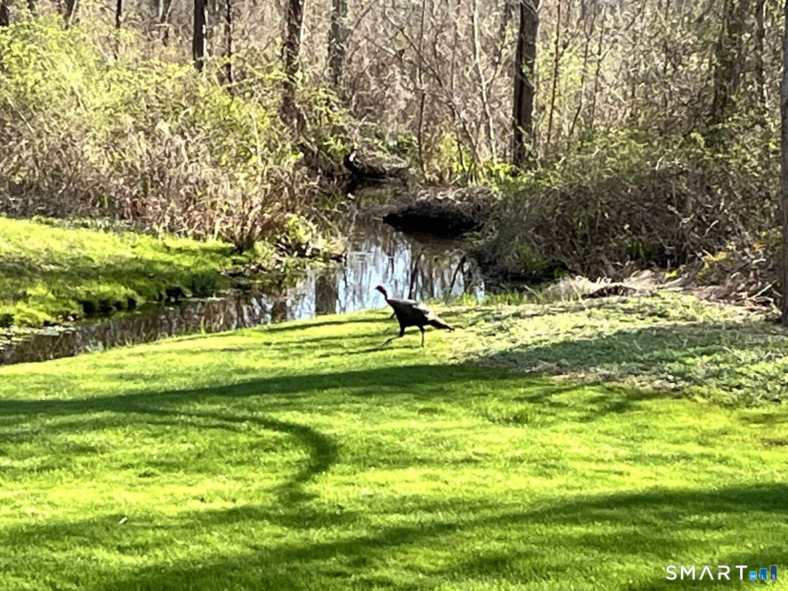 5 Westmont Road Wethersfield, CT 06109 - Photo 34 of 75