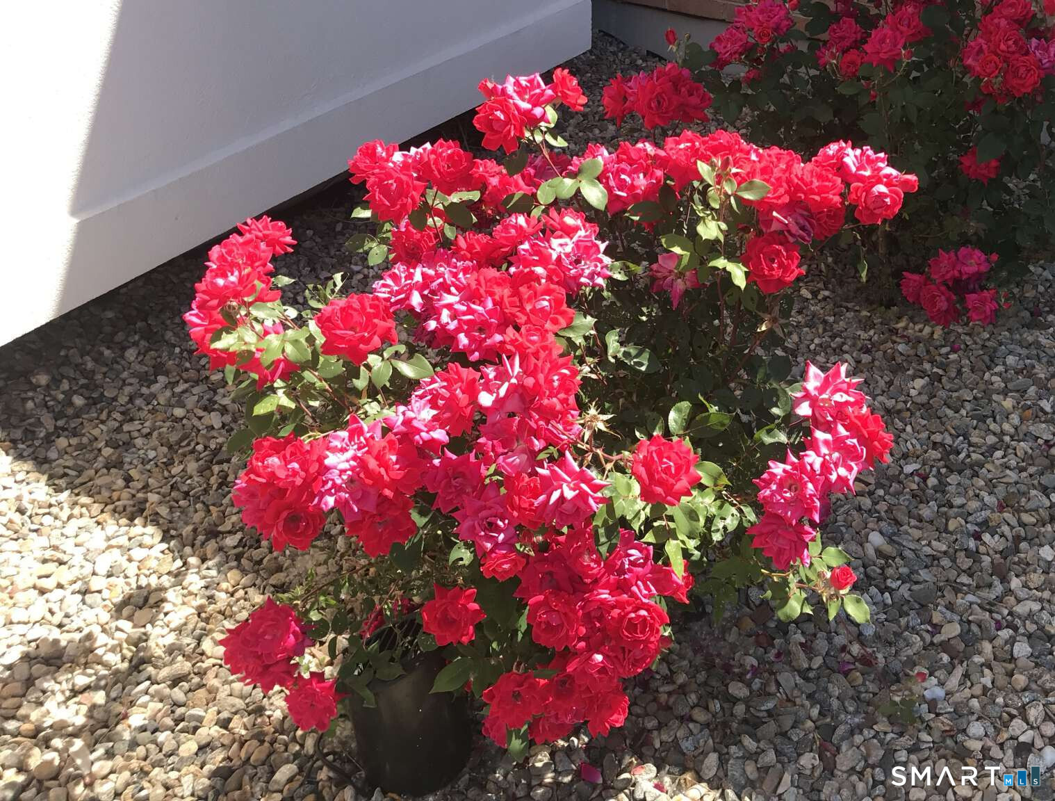 5 Westmont Road Wethersfield, CT 06109 - Photo 40 of 75