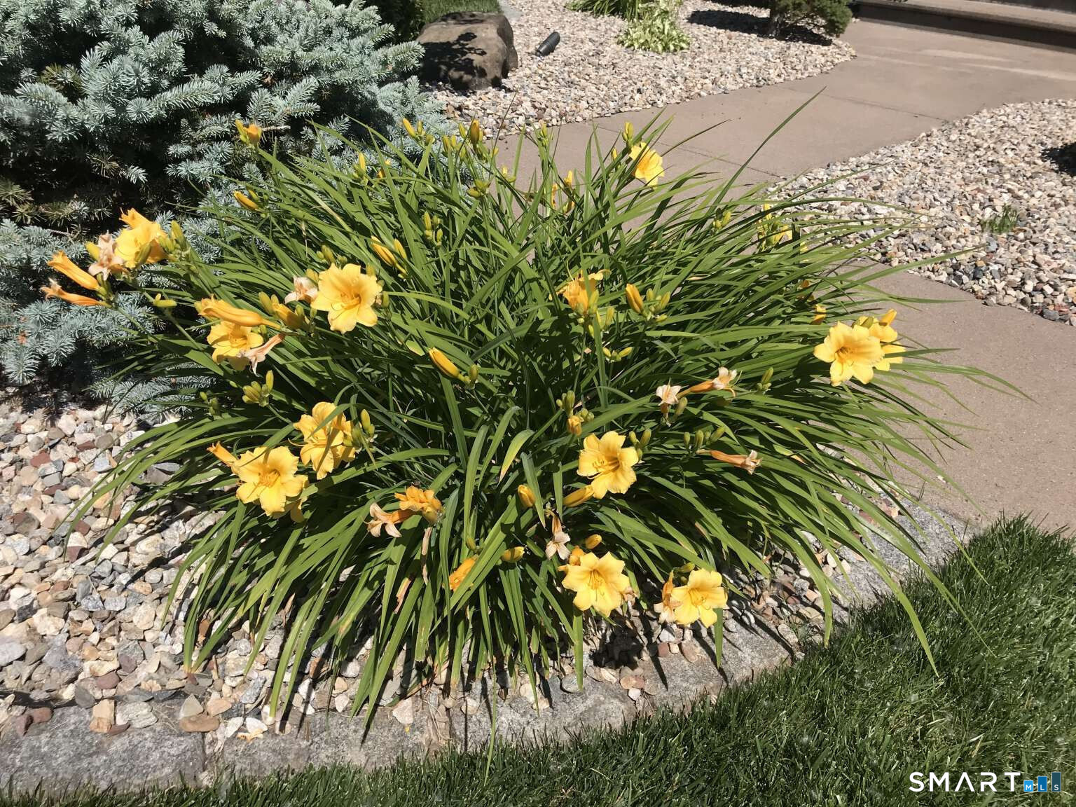 5 Westmont Road Wethersfield, CT 06109 - Photo 50 of 75