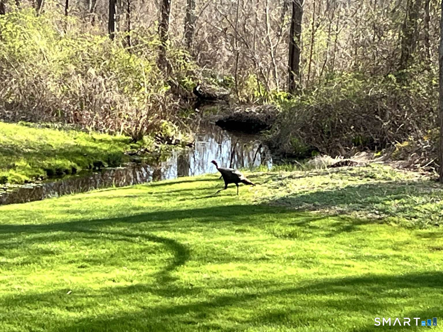 5 Westmont Road Wethersfield, CT 06109 - Photo 51 of 75