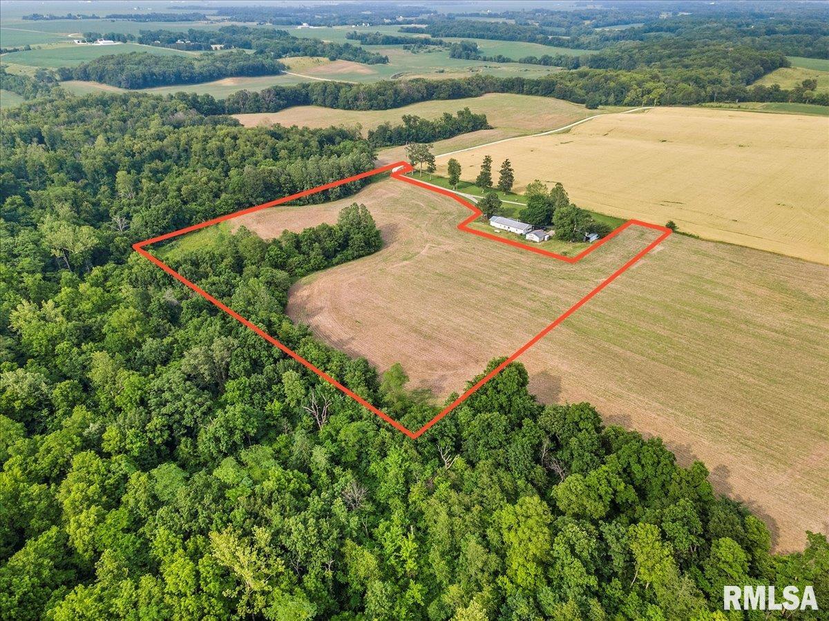 0 Gray Road Ashland, IL 62612 - Photo 3 of 6