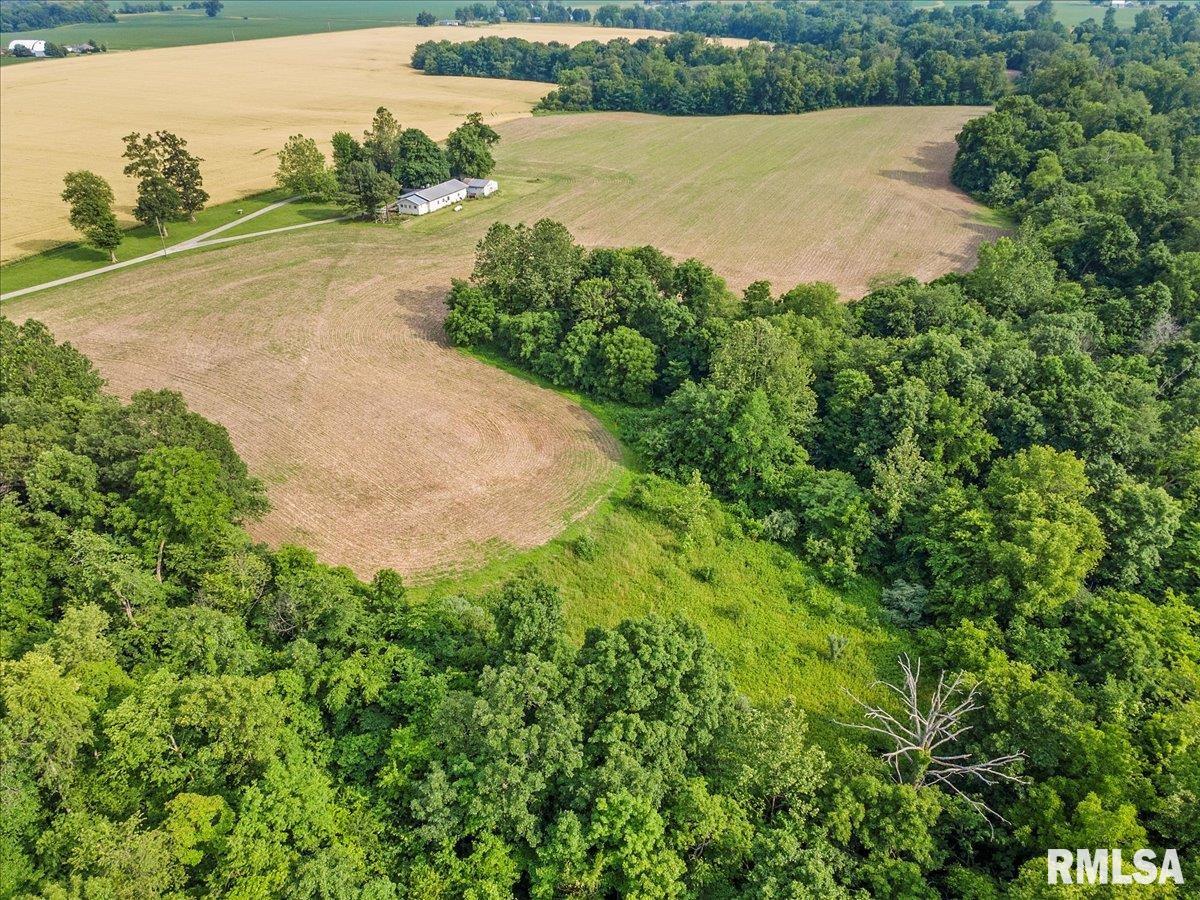 0 Gray Road Ashland, IL 62612 - Photo 6 of 6