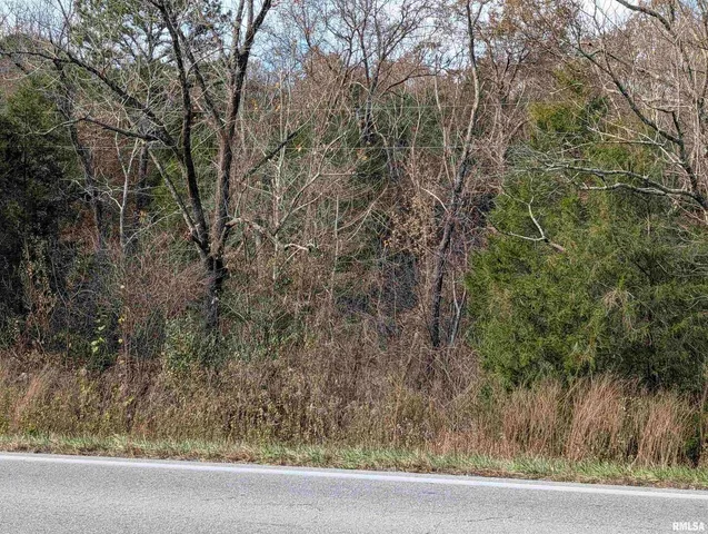 $120,000 | 0 State Highway 145 N Highway, Stonefort, IL 62987