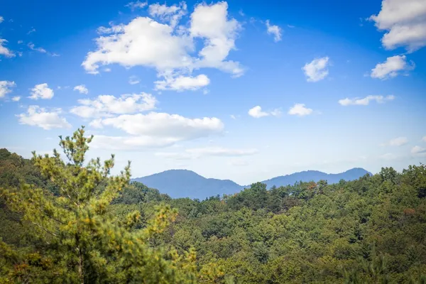 $1,099,000 | 588 Bell Camp Ridge Road, Blue Ridge, GA 30513