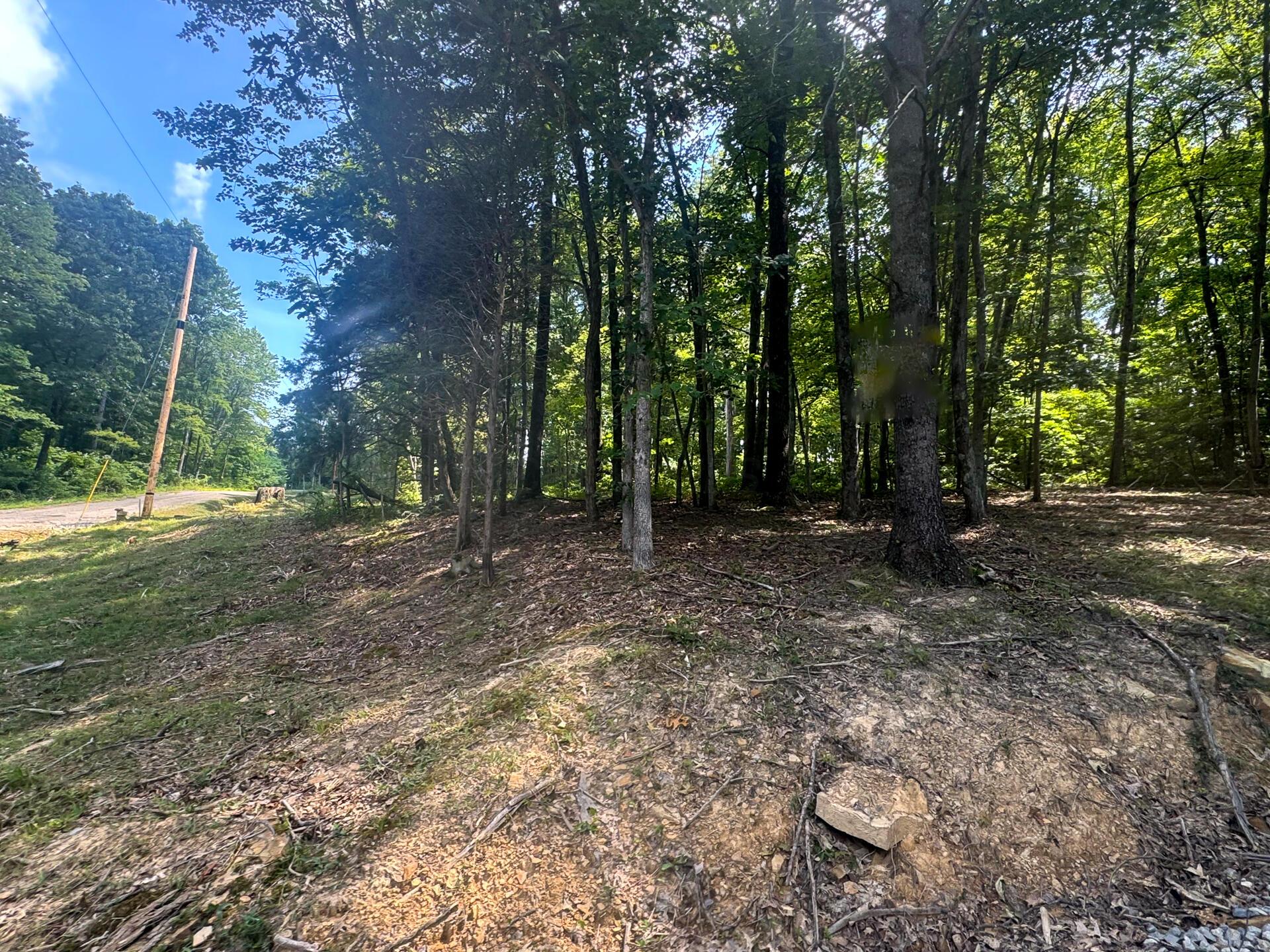 286 Golf Course Road, Unit TRACT 7 SKYLINEACRES) Waverly, OH 45690 - Photo 39 of 46 CT-39