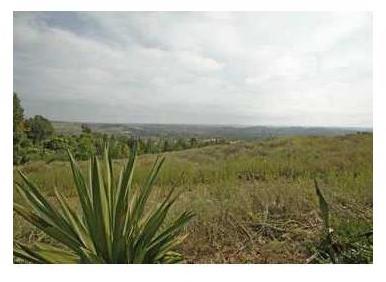 7023 Rancho Santa Fe View Court Rancho Santa Fe, CA 92067 - Photo 5 of 6 Huge building site for estate residence, guest house, tennis and horses; all with lovely views