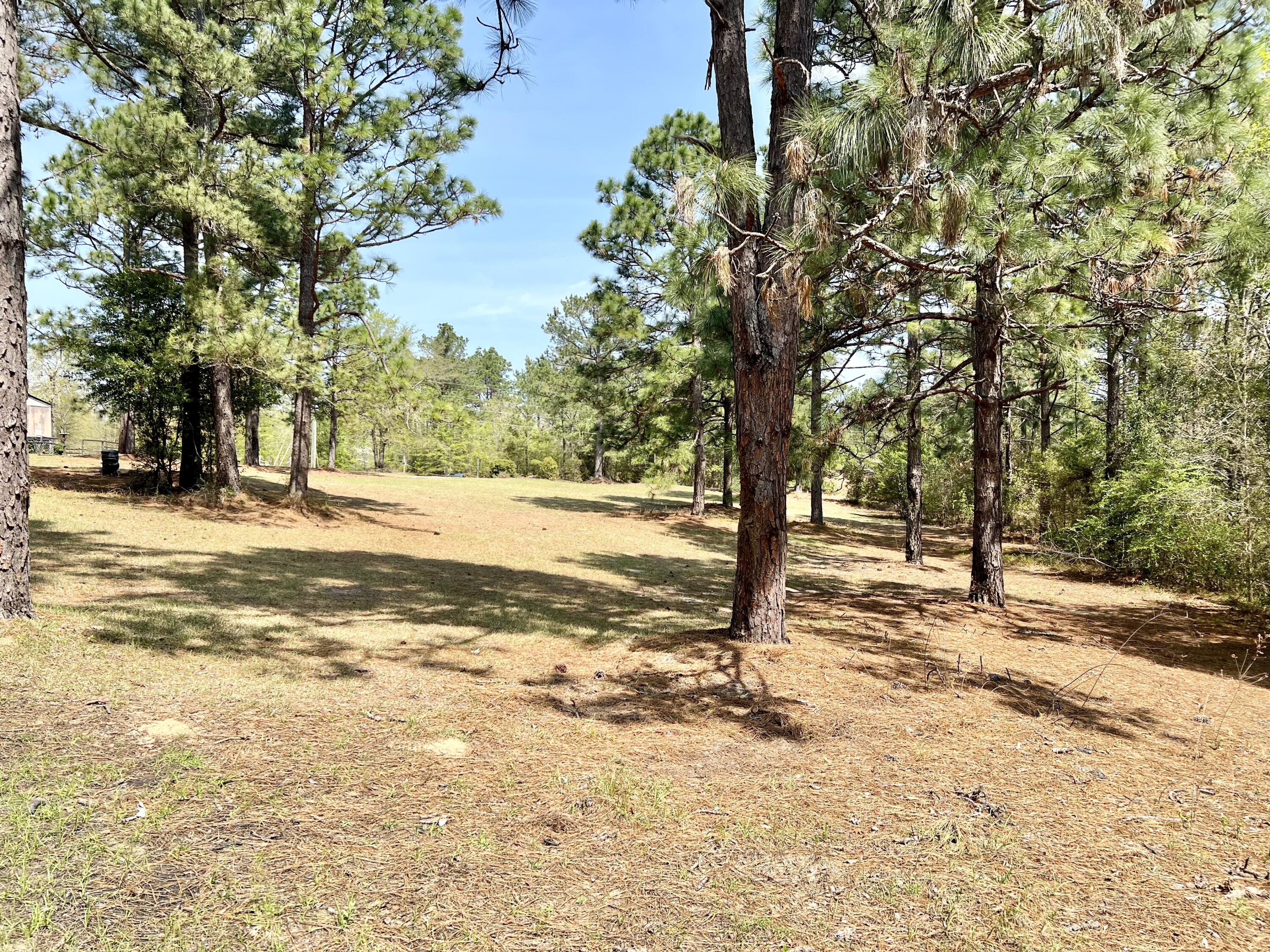407 Old Bell Road Aiken, SC 29801 - Photo 19 of 23