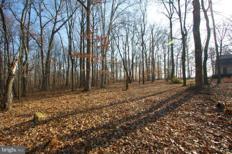 3313 Brinegar Road Street, MD 21154 - Photo 16 of 17 View