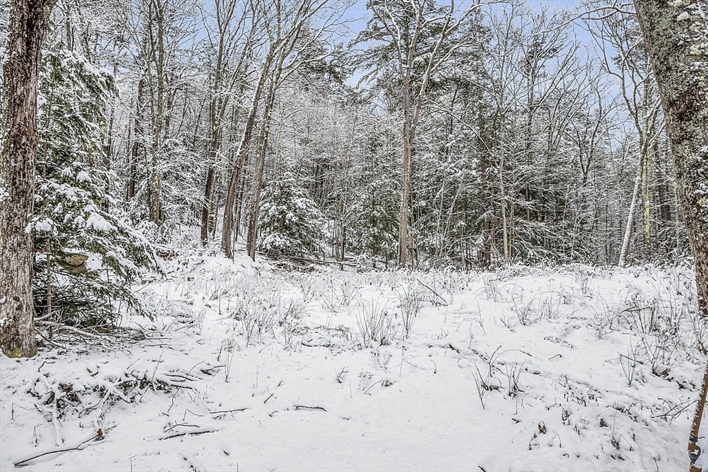 667 Brickyard Road Athol, MA 01331 - Photo 9 of 32 a view of a yard covered in snow