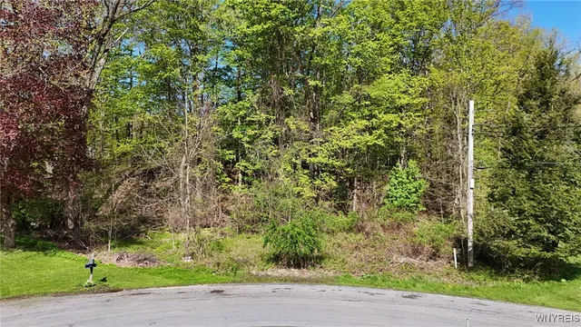 $38,000 | 6562 Colonial Drive, Boston, NY 14025