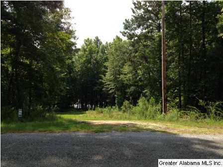 New Harmony Road, Unit 2 Lineville, AL 36266 - Photo 14 of 16