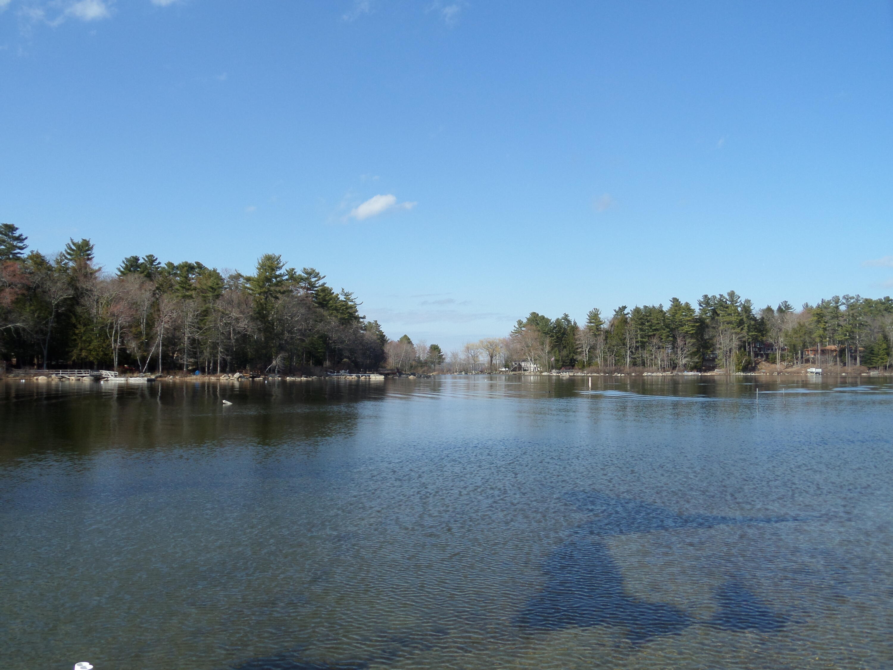 135 Wild Acres Road Raymond, ME 04071 - Photo 19 of 47 SAM_6016