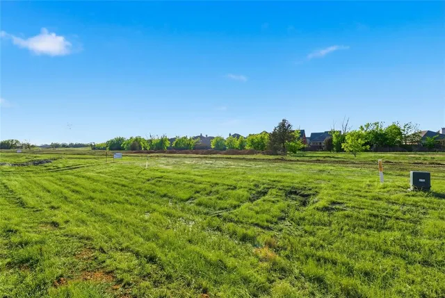 a view of a grassy field with trees