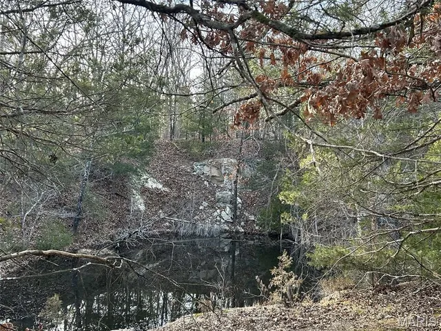 $91,500 | Lot 11 Danz Forest Drive, Rosebud, MO 63091