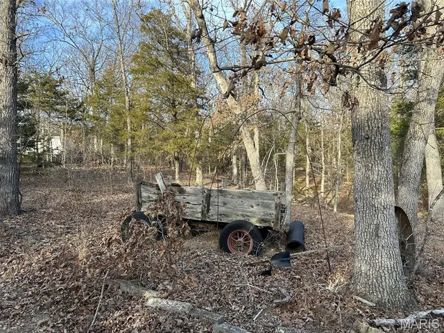 $91,500 | Lot 11 Danz Forest Drive, Rosebud, MO 63091