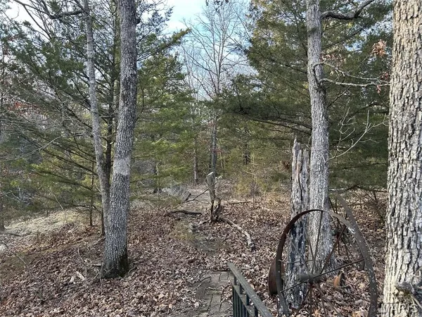 $91,500 | Lot 11 Danz Forest Drive, Rosebud, MO 63091