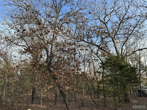 $91,500 | Lot 11 Danz Forest Drive, Rosebud, MO 63091